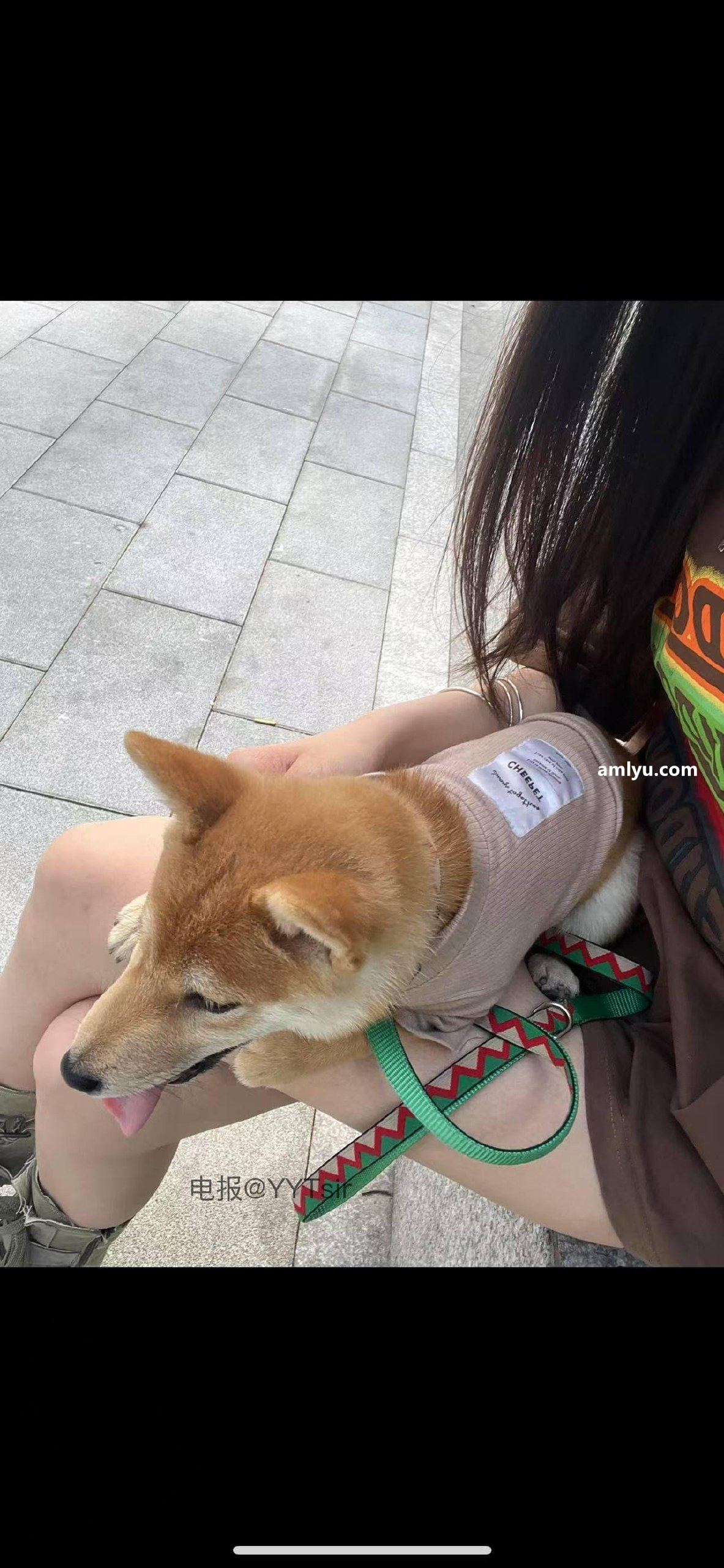 图片[2]-抖音 皮卡邱 微密圈  NO.002期 【37P5V】最新至：2025.5.20-慕色阁